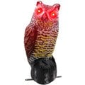 Owl with Flashing Eyes min: photo
