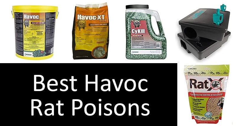 Best Havoc Rat Poisons: photo
