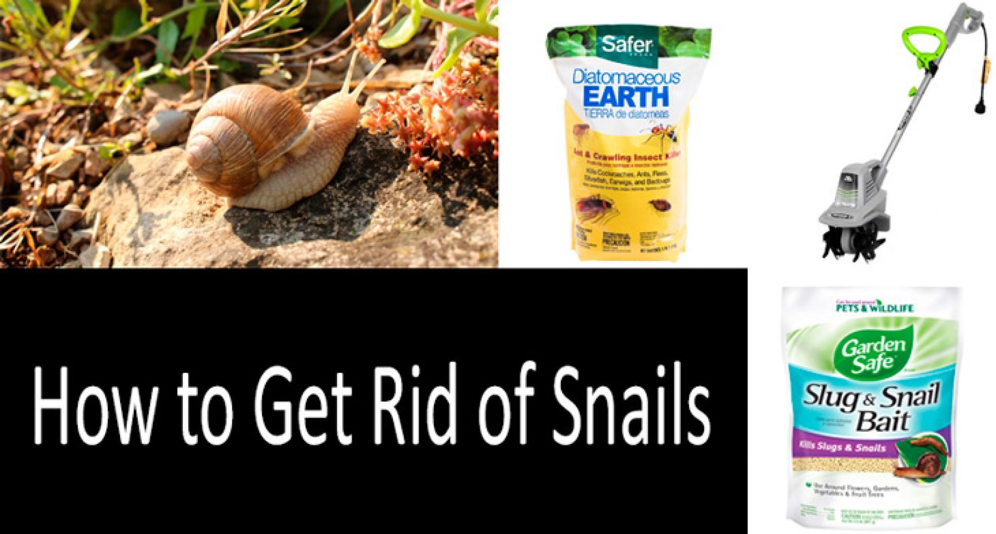 How to get rid of snails Baits, barriers & traps. 2021 Buyer’s Guide