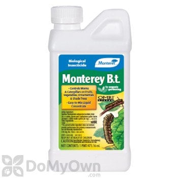 Monterey LG 6336 Bacillus Thuringiensis (Bt): photo
