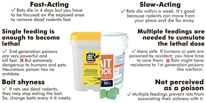 Best Rat Poisons Comparison | StoppestInfo.com