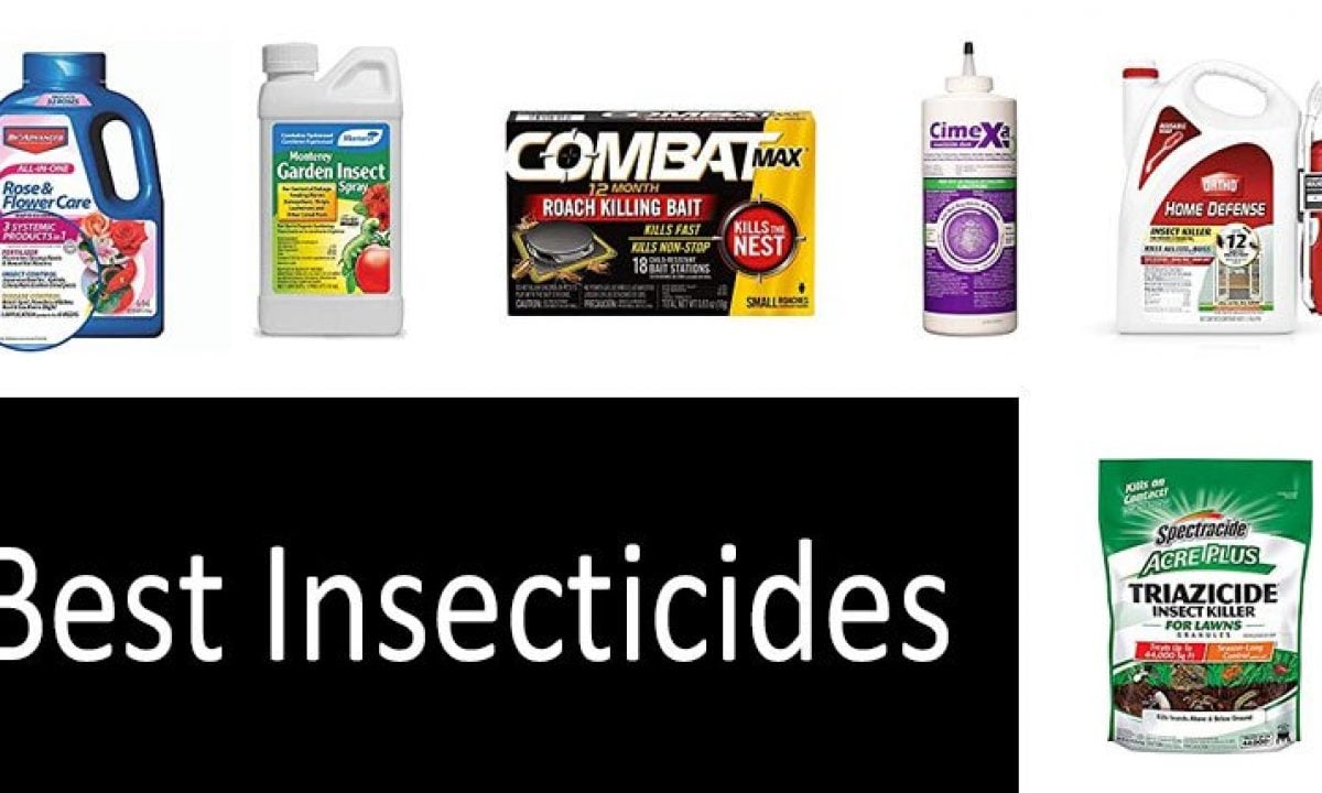 https://stoppestinfo.com/wp-content/uploads/best-insecticides-1200x720.jpg