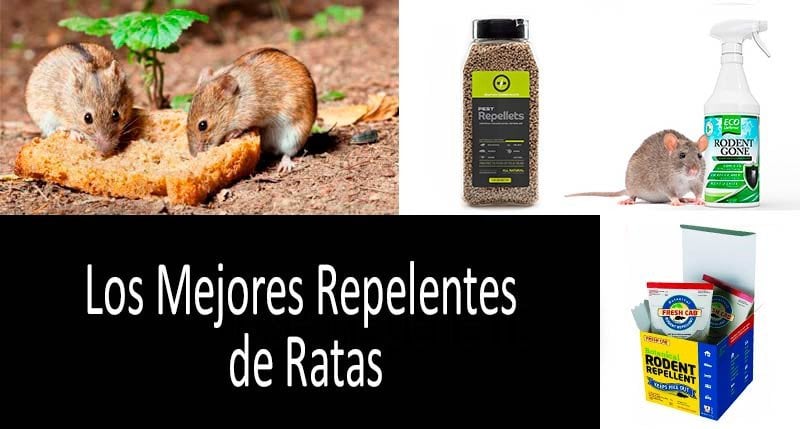 dominio Pesimista circulación Los 3 mejores repelentes de ratones y ratas recomendados por clientes