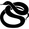 Maggiori informazioni sui Serpenti
