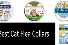 Best Cat Flea Collars Recommended by Veterinarians | 2022 Buyer’s Guide