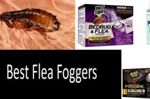 5 Best Flea Foggers For Your Home — 2021 Detailed Buyer’s Guide