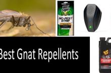 TOP-5 Best Gnat Repellents | 2022 Comprehensive Buyer’s Guide