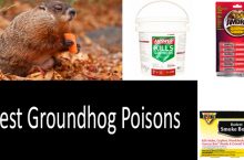TOP Best Groundhog Poisons | 2022 Ultimate Buyer’s Guide