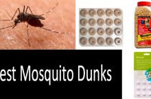 Mosquito Dunks: What Are The Best Mosquito Larvicides? | 2022 Buyer’s Guide