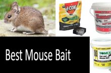 Best Mouse Bait | Why Do Mice Not Eat Bait? How to Prevent Bait Shyness & Aversion