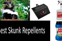 How to Repel Skunks And Which Skunk Repellent Should You Choose?