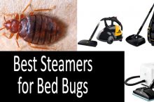 Review of The Best Steamers For Bed Bugs | How To Kill Bed Bugs Naturally