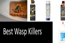 How to Kill Wasps? What Is More Effective: A Wasp Spray, a Dust Wasp Killer or a Wasp Freeze?