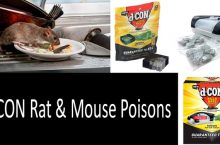 D-CON Rat & Mouse Poisons | Benefits, Effectiveness, Dangers | 2022 Buyer’s Guide