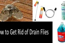 Best Drain Fly Killers [UPDATED]: a Drain Gel, Foams & a Brush | Best Ways to Eliminate Sewer Flies from Your Life | Buyer’s Guide