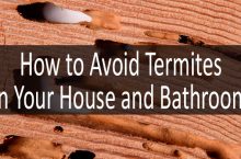 Termite Damage Signs – How Dangerous Is It?