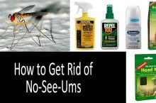 How to Get Rid of No-See-Ums. Scientifically Approved Treatment and the Comparative Review of the Best Products