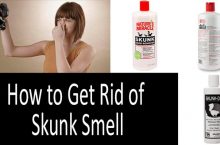 How to Get the Skunk Smell Out of the House and Out Of Your Dog with the Best Skunk Spray Removers