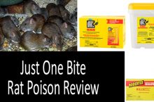 Just One Bite Rat Poison Review: Chunks, Bars, Pellets | 2022 Buyer’s Guide