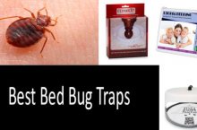 Bed Bug Traps [UPDATED 2021] Buyer’s Guide | Homemade vs Ready Traps | Comparative Review