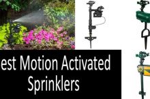 Top 3 of The Best Motion Activated Sprinklers