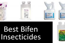 Bifen I/T Insecticide Review: Effectiveness & Alternatives | 2022 Buyer’s Guide