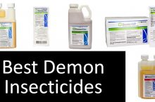Demon Insecticide Review: Effectiveness | 2022 Buyer’s Guide
