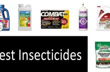 Best Insecticide: Reviews | Insecticides for Home and Garden & Professional Buyer’s Guide