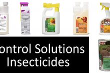 Tekko Pro Insect Growth Regulator: Effectiveness | Control Solutions Products (CSI): Insecticides for Home & Lawn