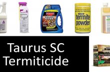 Taurus SC Termiticide | Review & Effectiveness | Taurus SC Compared to 7 Termiticides: Termidor, Talstar etc. | 2022 Buyer’s Guide